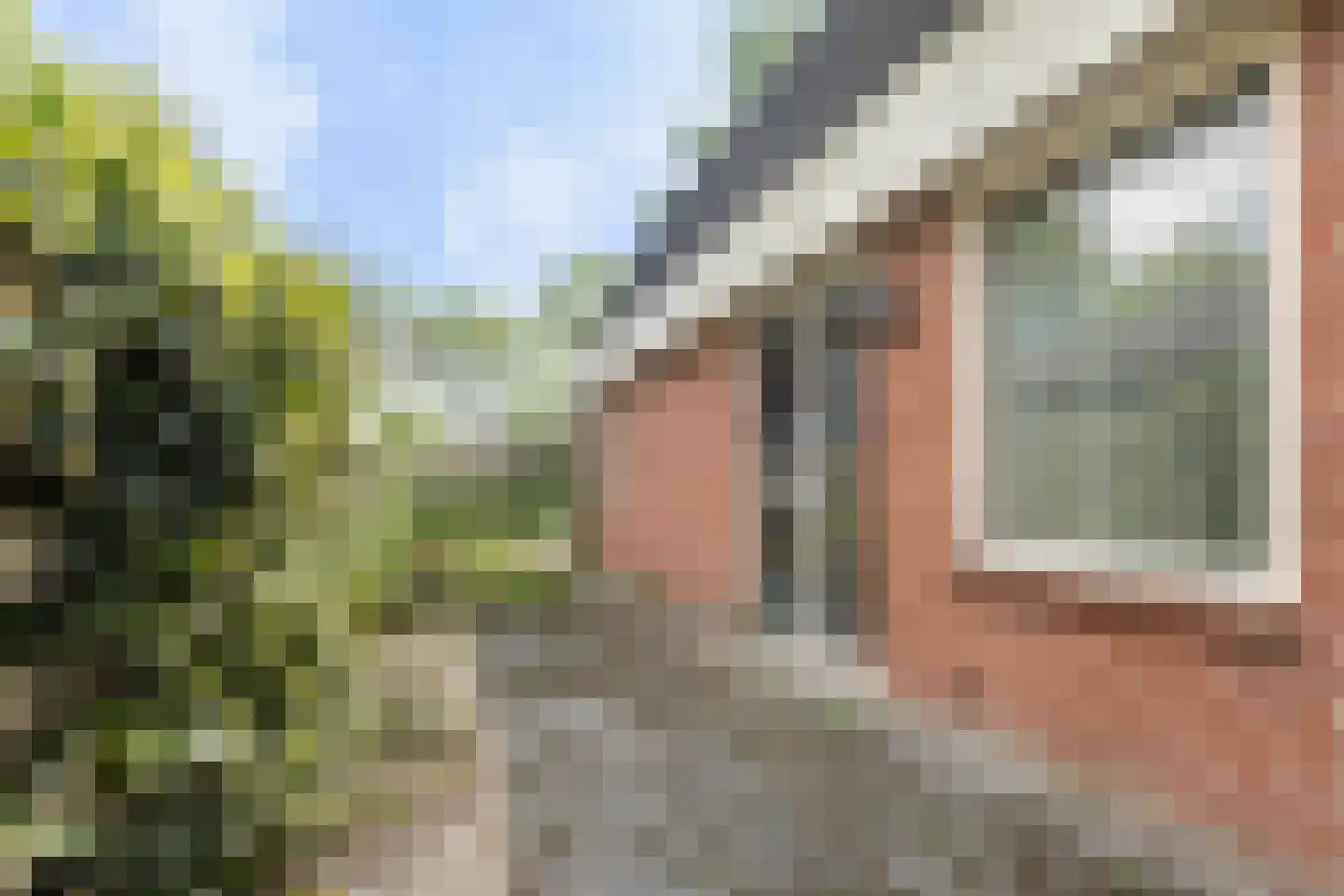 Boarskulp 5 Stiens thumbnail 39