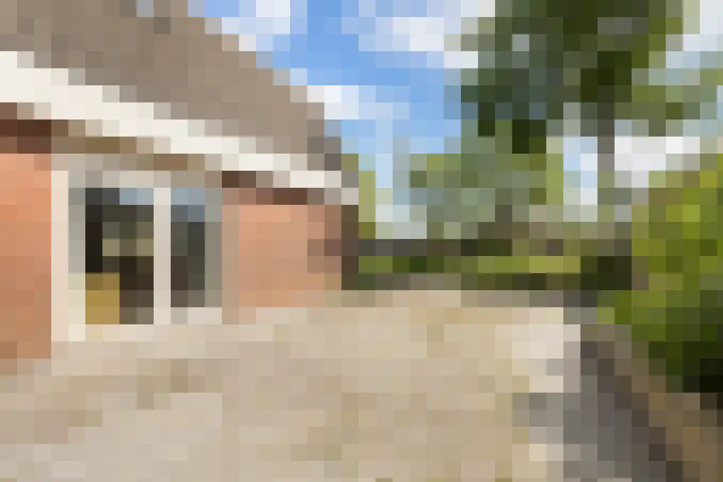 Boarskulp 5 Stiens thumbnail 40