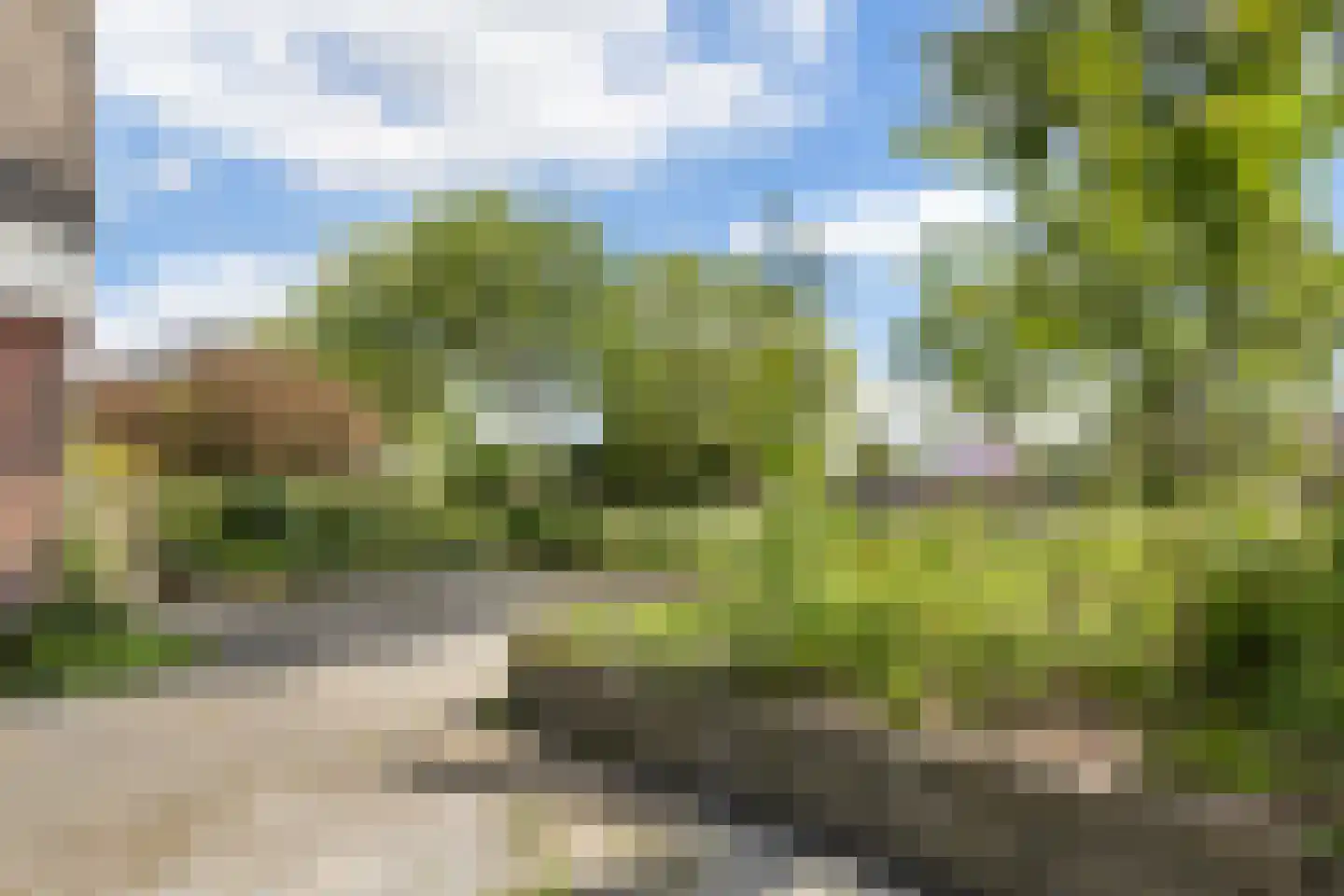 Boarskulp 5 Stiens thumbnail 44