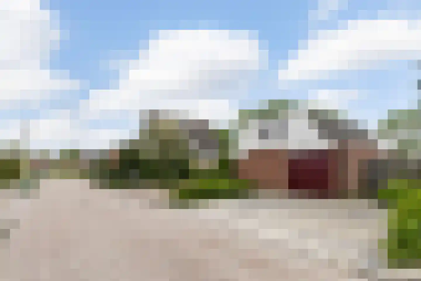 Boarskulp 5 Stiens thumbnail 45