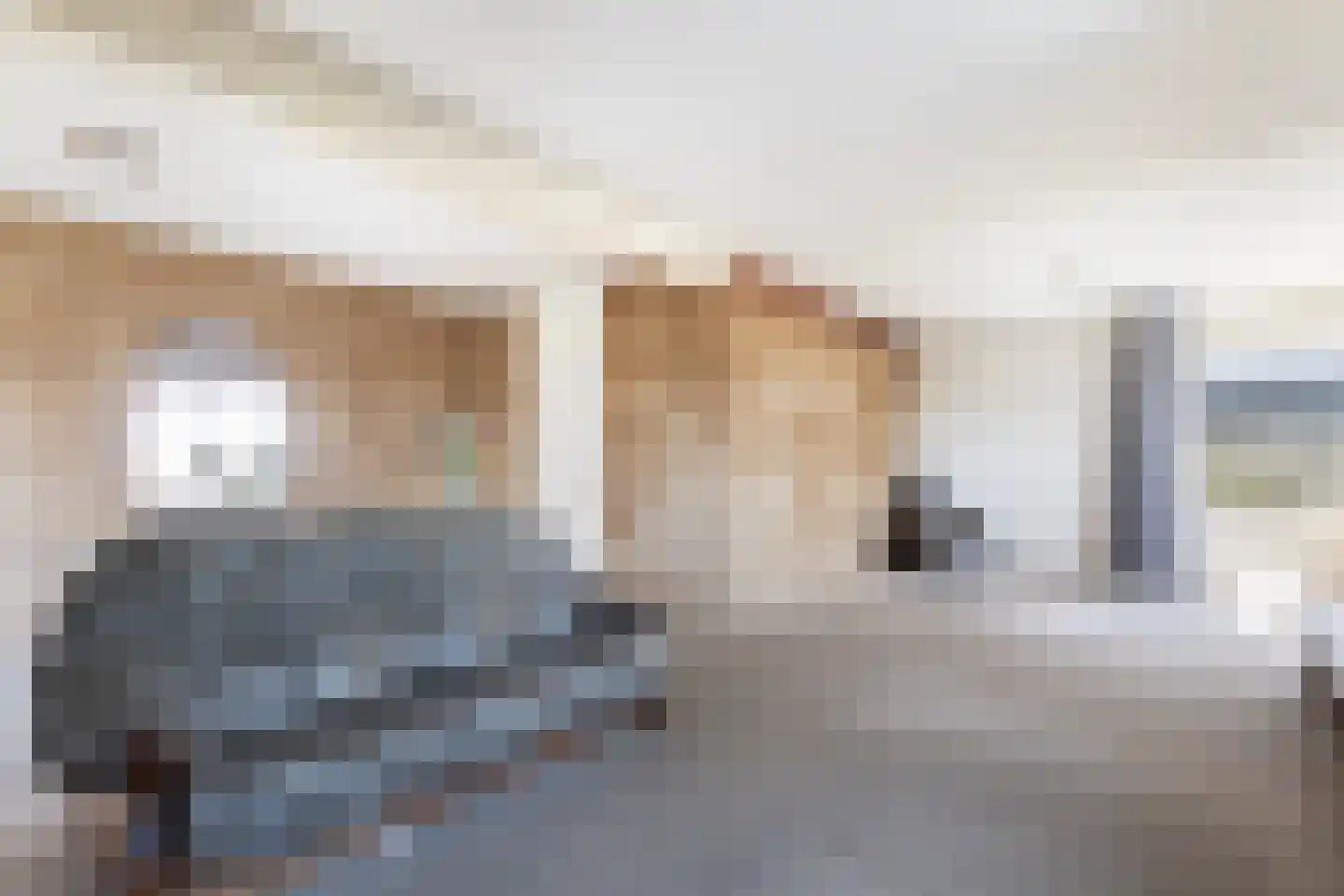 Boarskulp 5 Stiens thumbnail 8