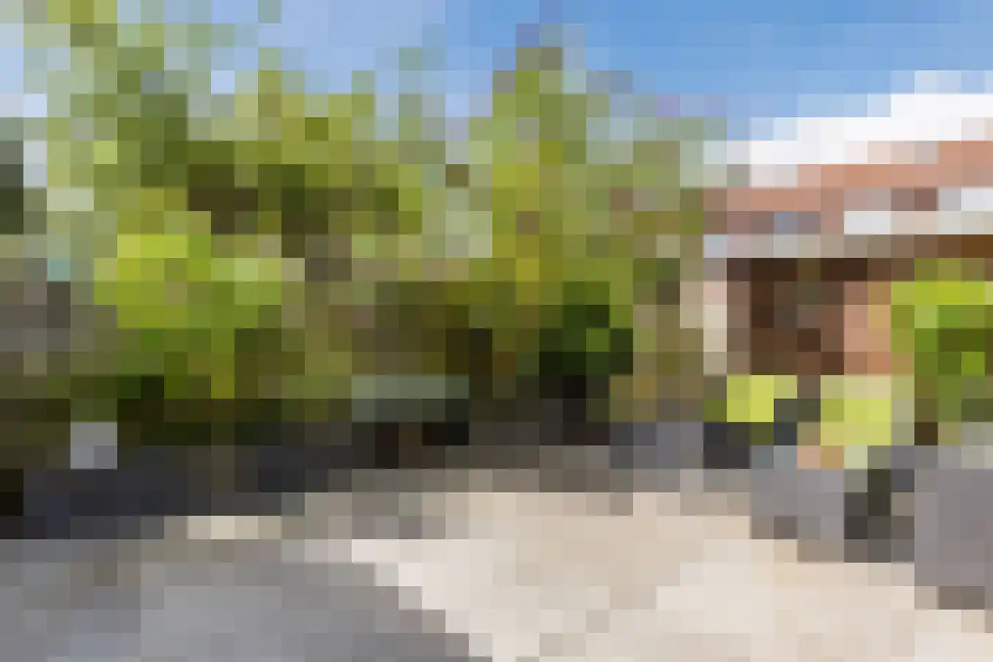 Boas en Judelshof 8 Amsterdam thumbnail 10