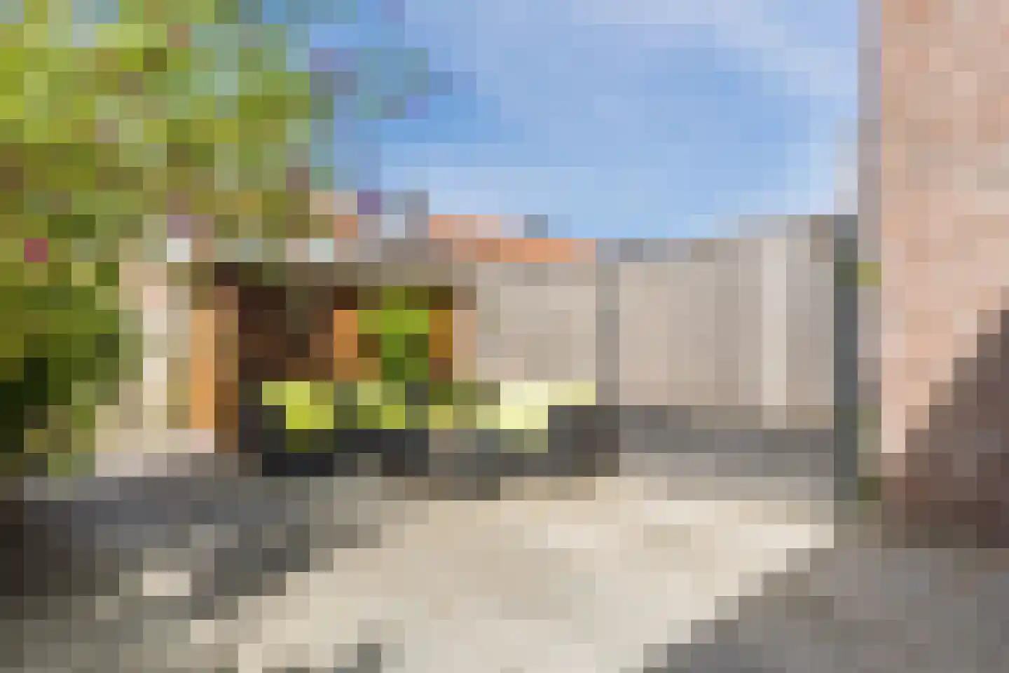 Boas en Judelshof 8 Amsterdam thumbnail 11