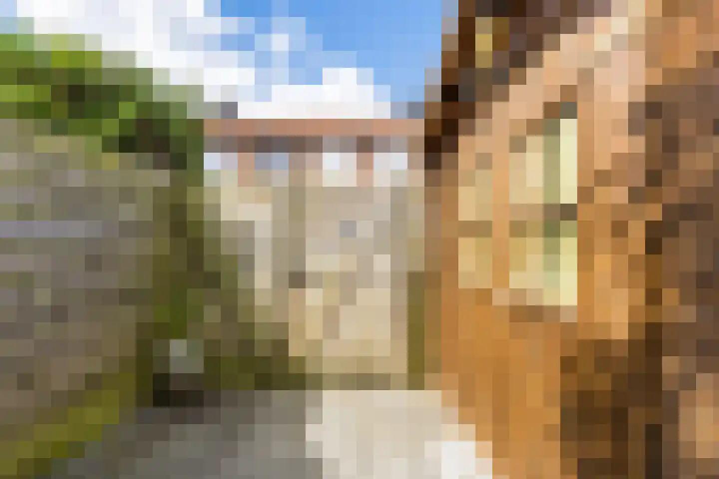 Boas en Judelshof 8 Amsterdam thumbnail 12
