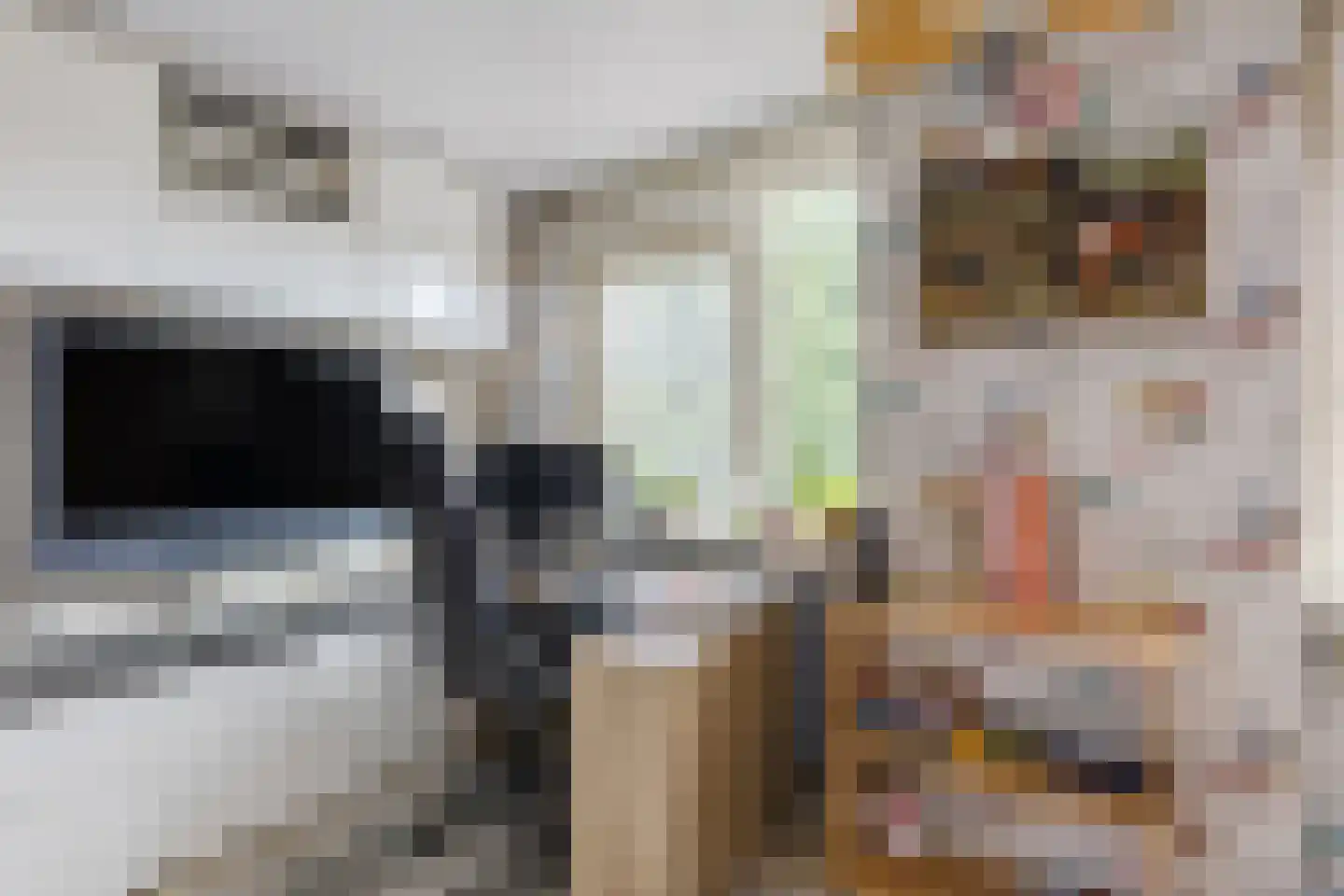 Boas en Judelshof 8 Amsterdam thumbnail 27