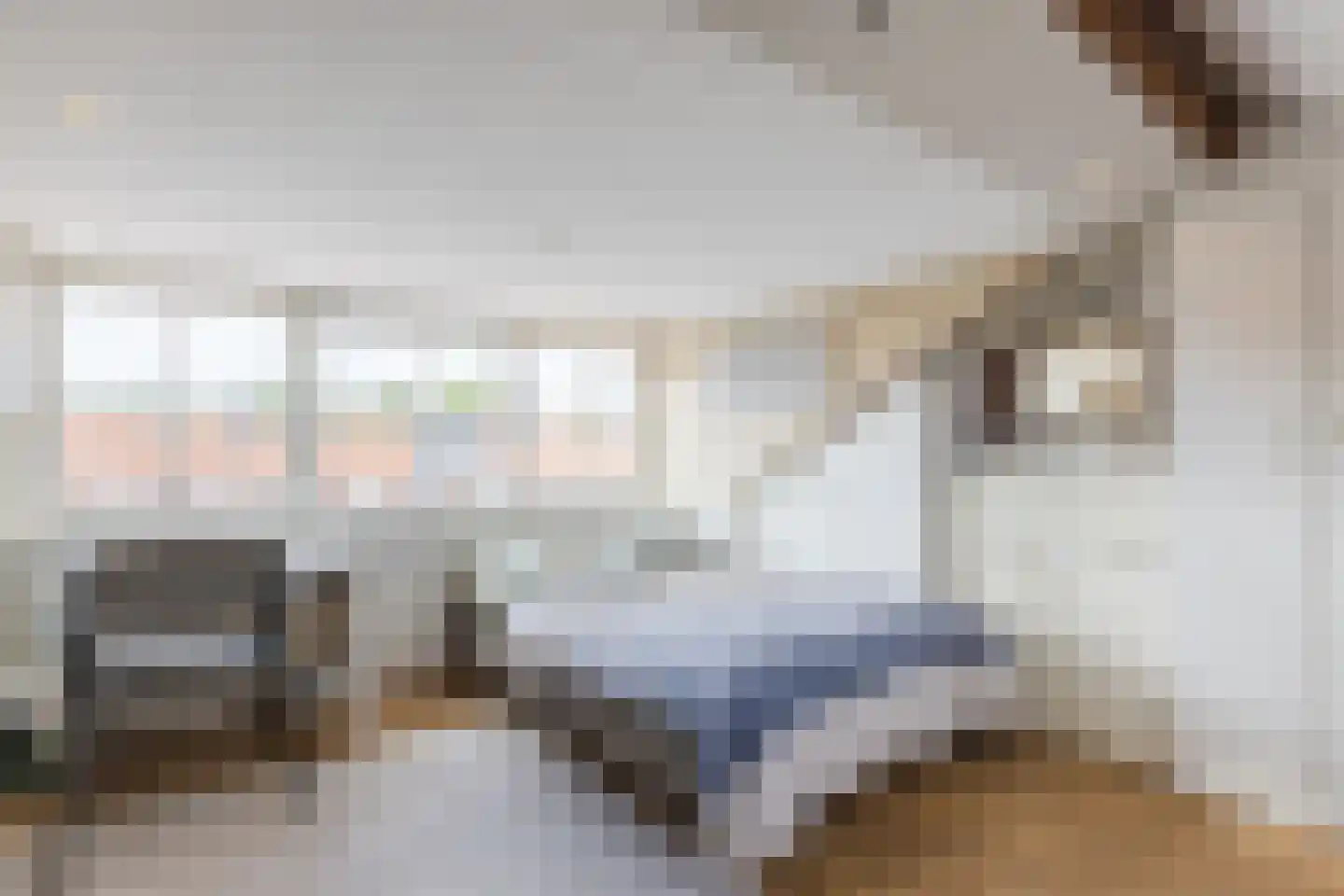 Boas en Judelshof 8 Amsterdam thumbnail 33