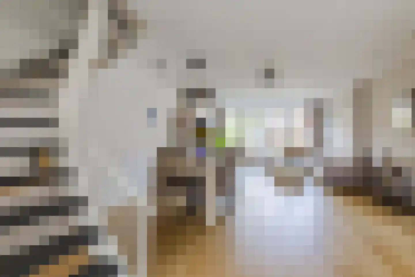 Boas en Judelshof 8 Amsterdam thumbnail 5