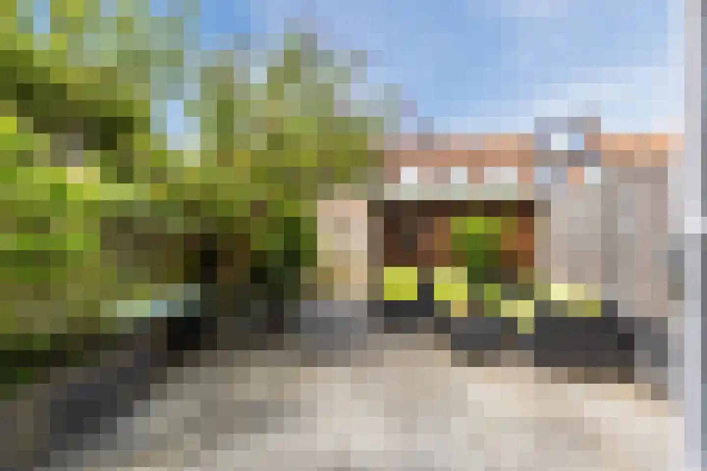 Boas en Judelshof 8 Amsterdam thumbnail 9