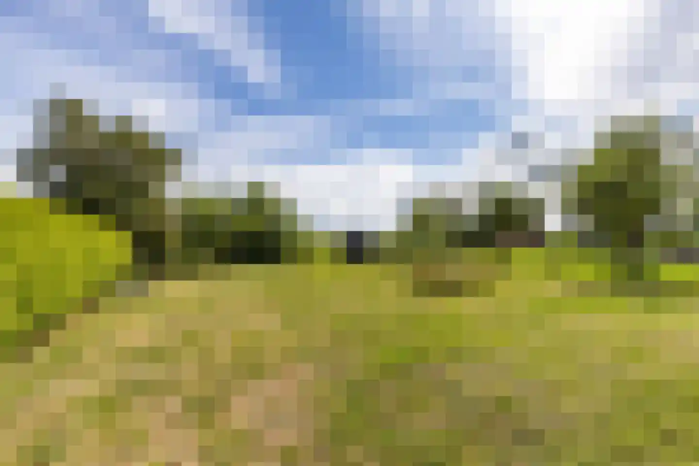 Boatebuorren 3 Blije foto 2