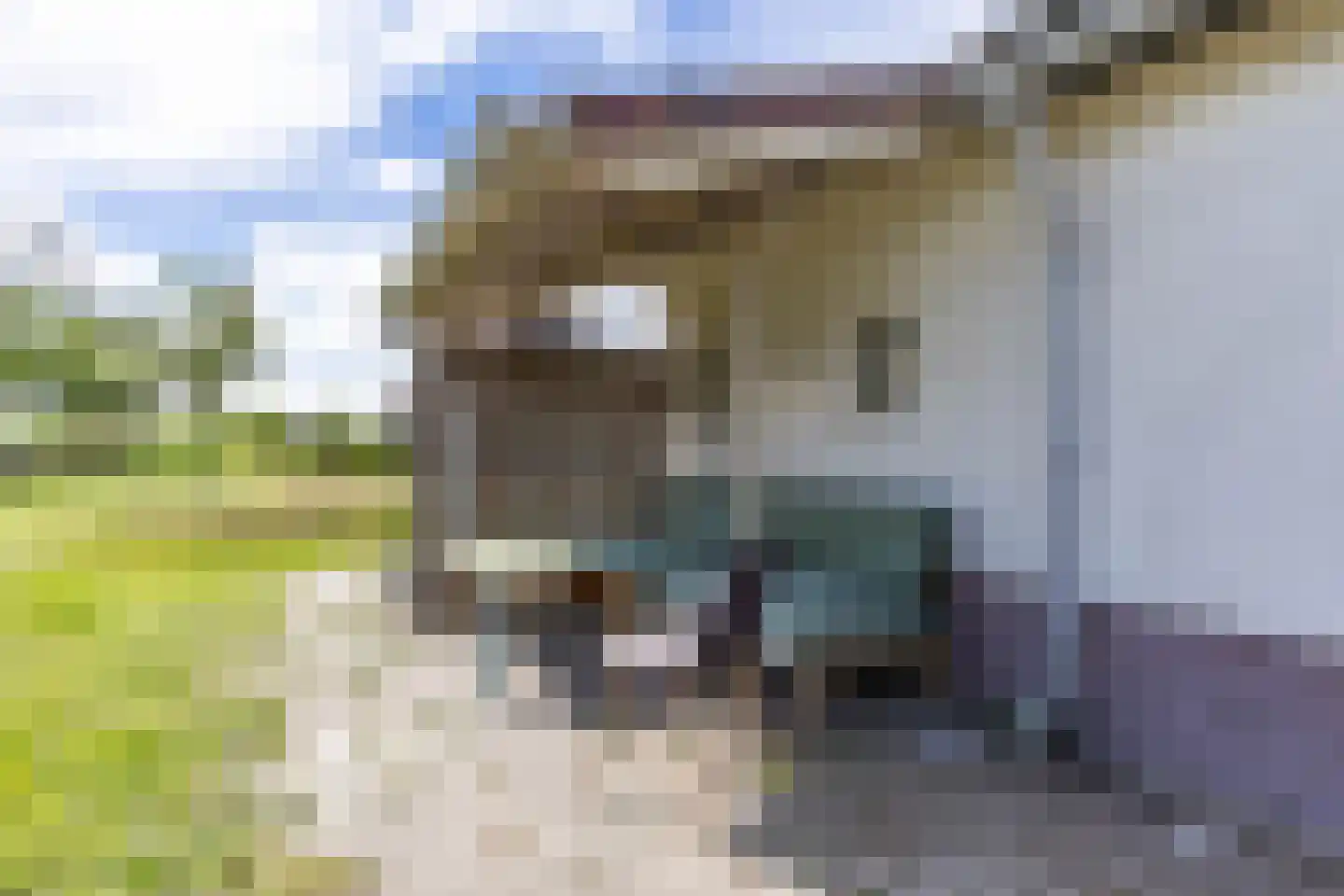 Boatebuorren 3 Blije thumbnail 52