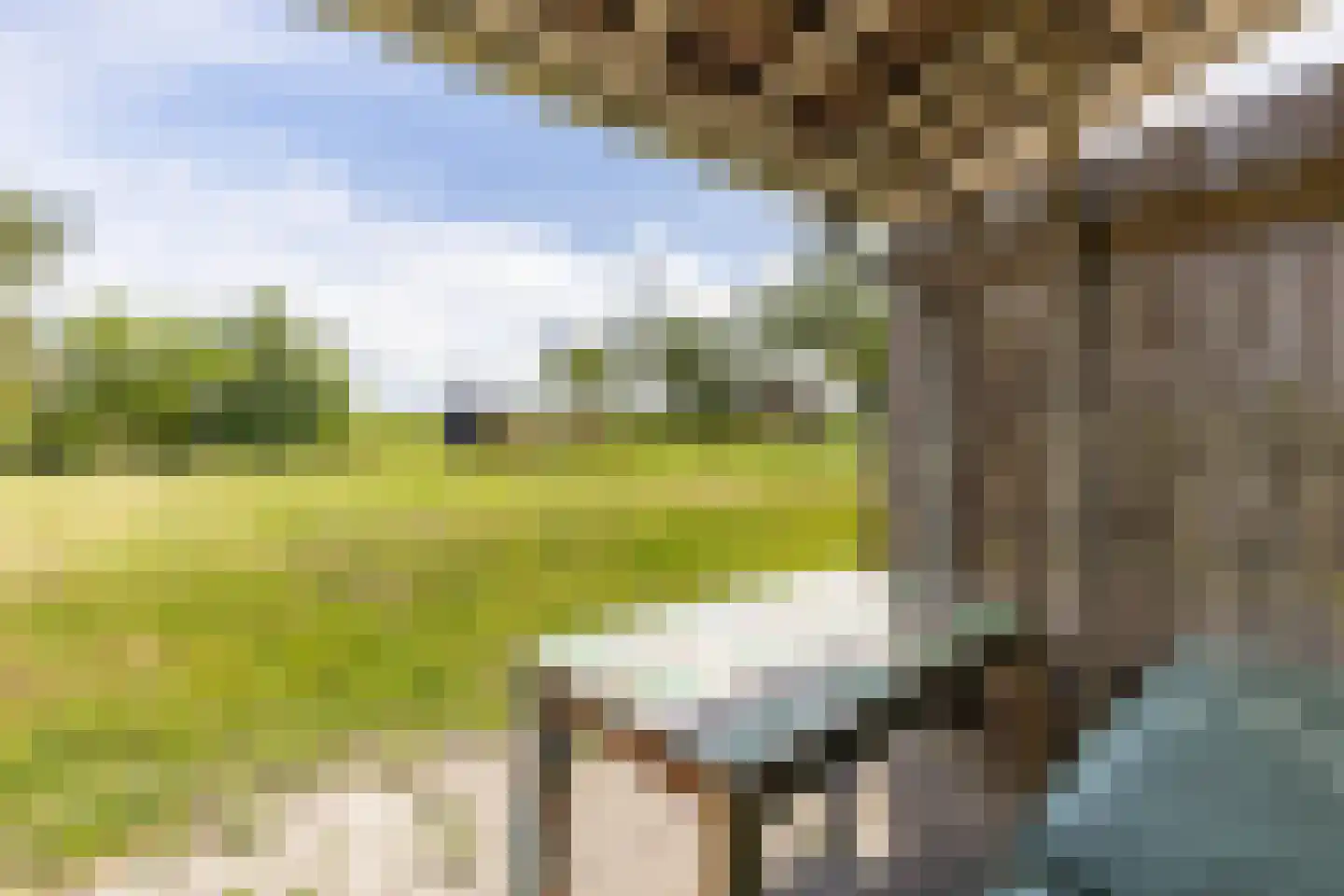 Boatebuorren 3 Blije thumbnail 53