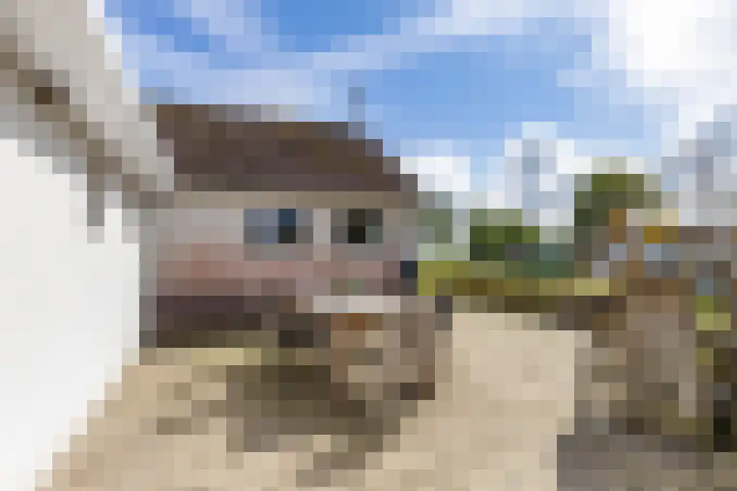 Boatebuorren 3 Blije thumbnail 59