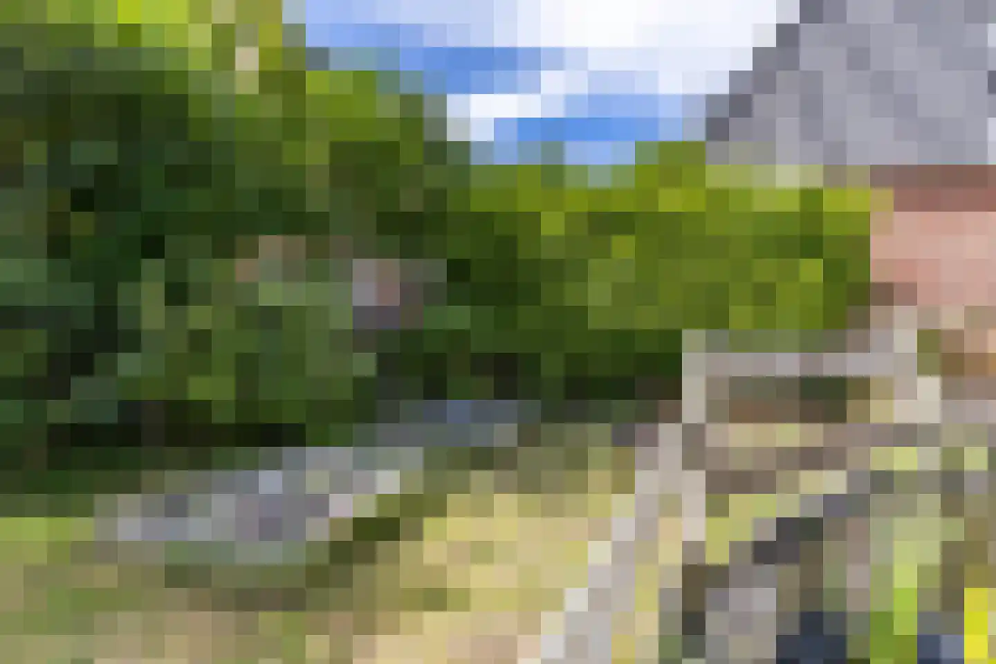 Boatebuorren 3 Blije thumbnail 60
