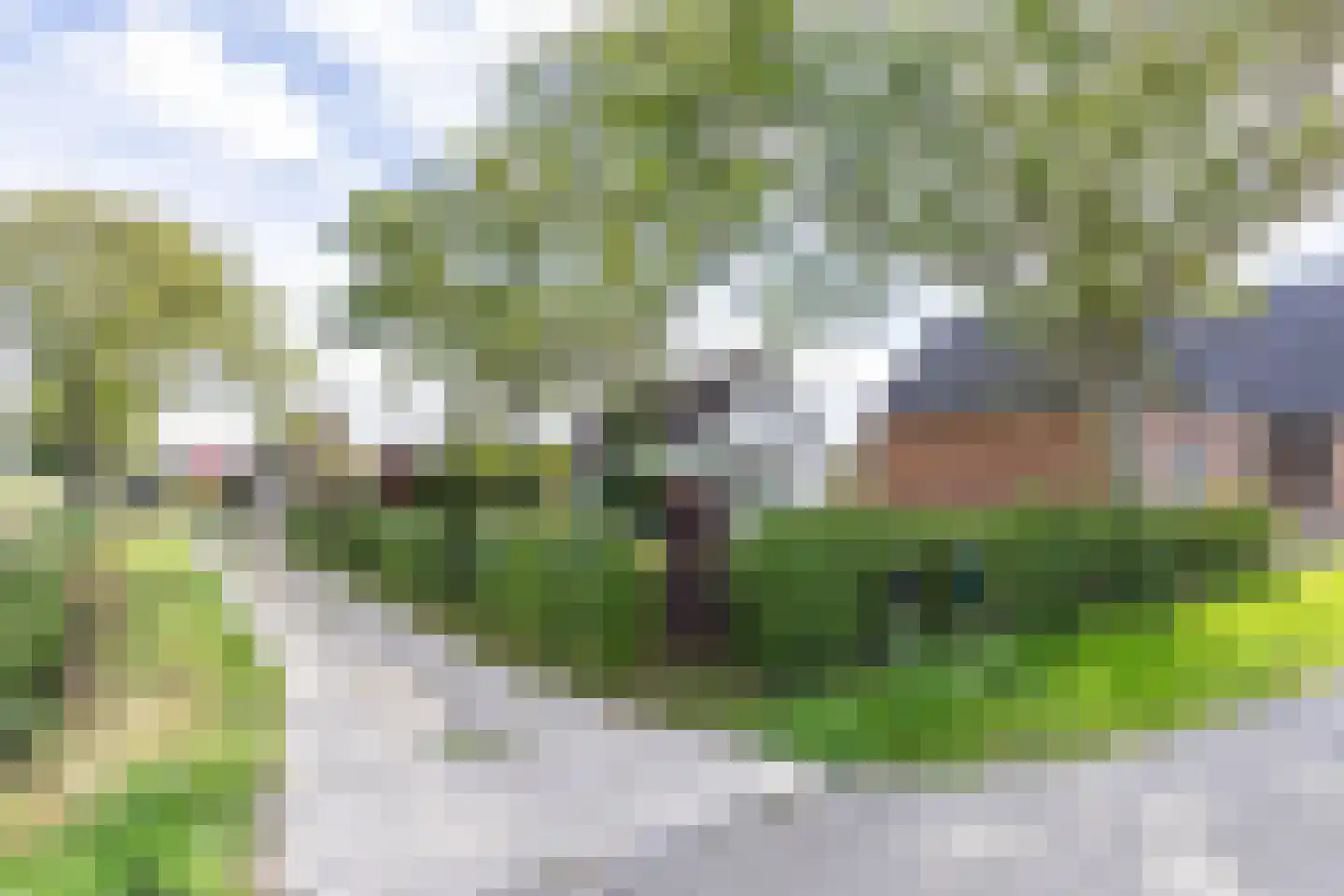 Boatebuorren 3 Blije thumbnail 7