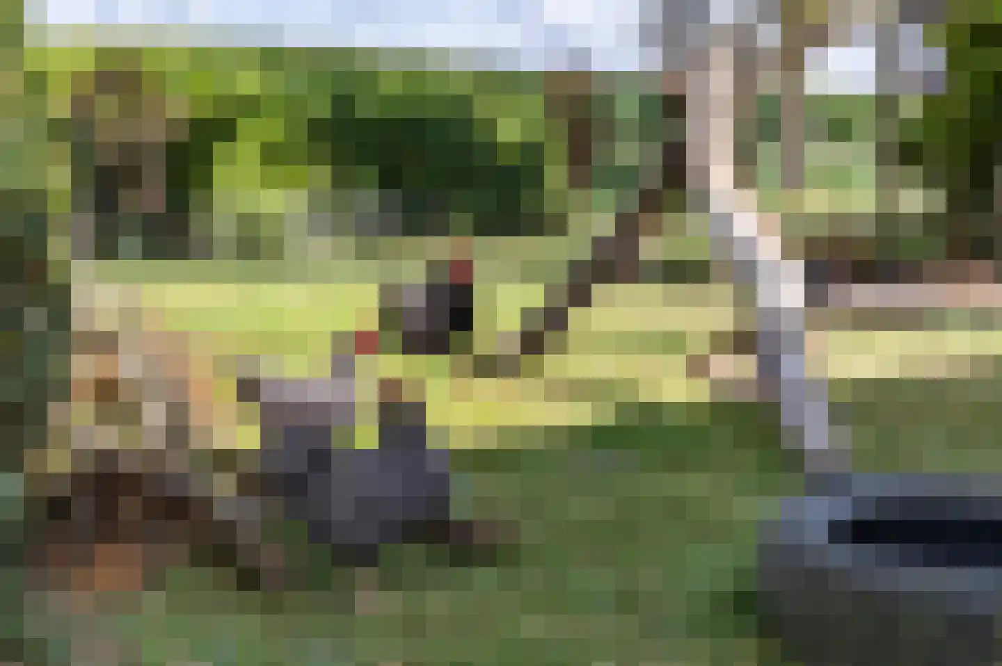 Boatebuorren 3 Blije thumbnail 8