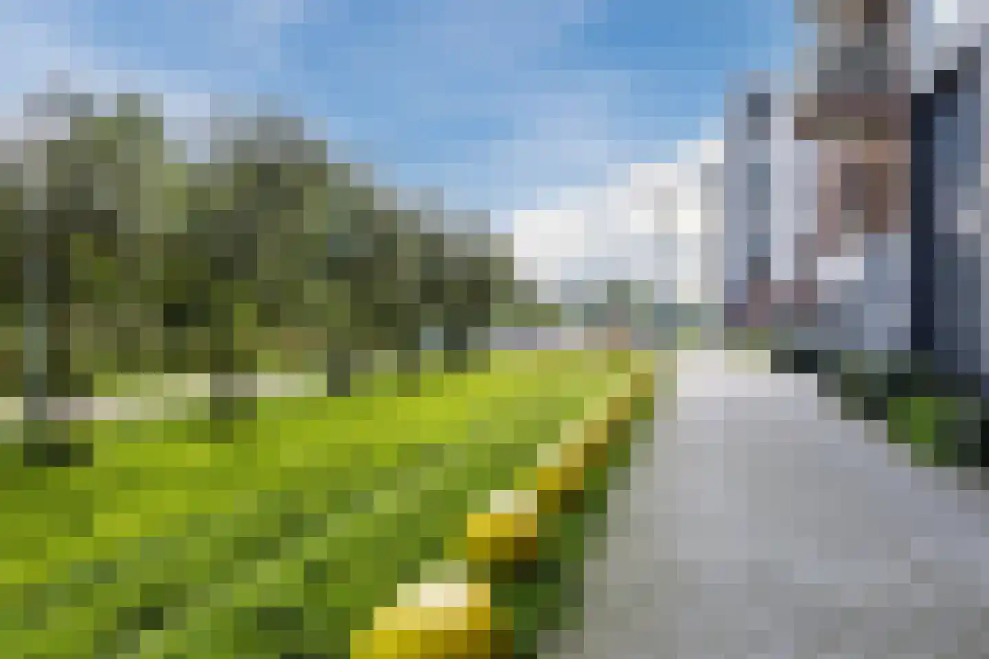 Bob Angelostraat 1 Zaandam thumbnail 49