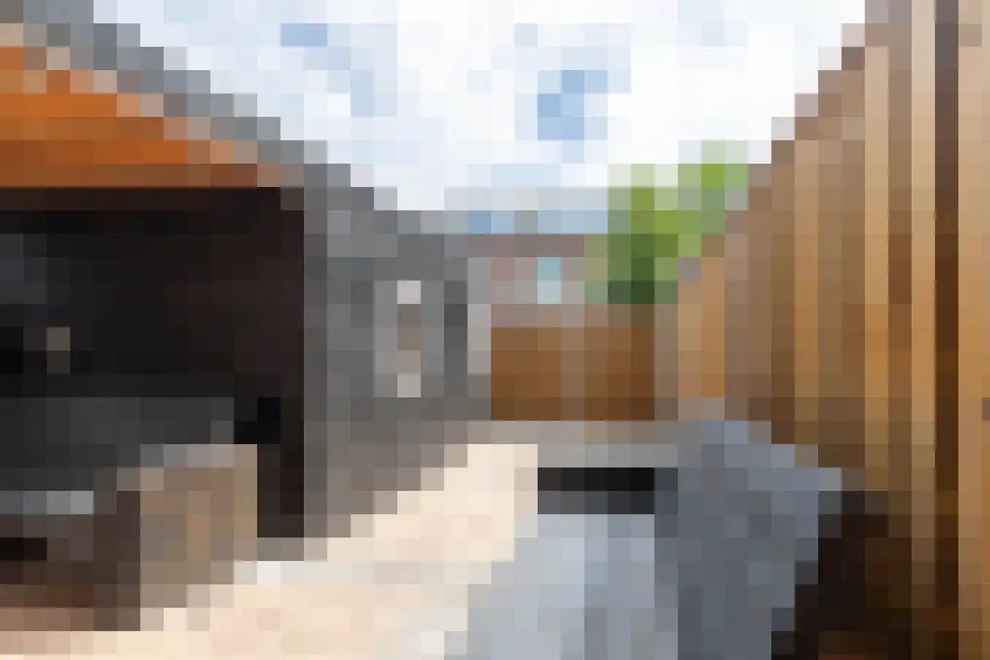 Bob de Langestraat 8 Den Haag thumbnail 17