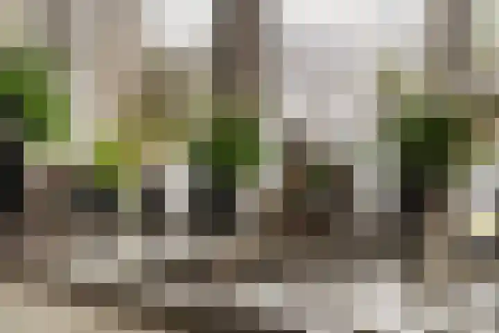 Bob Marleystraat 48 Almere thumbnail 18