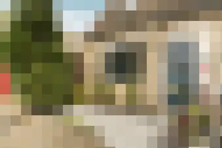 Bob Marleystraat 48 Almere thumbnail 6