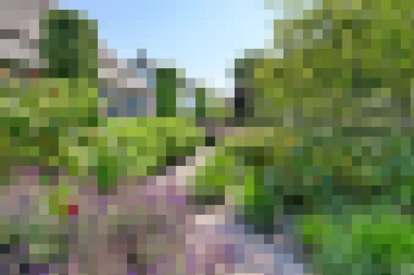 Bobbenagelseweg 24 Sint-Oedenrode thumbnail 48