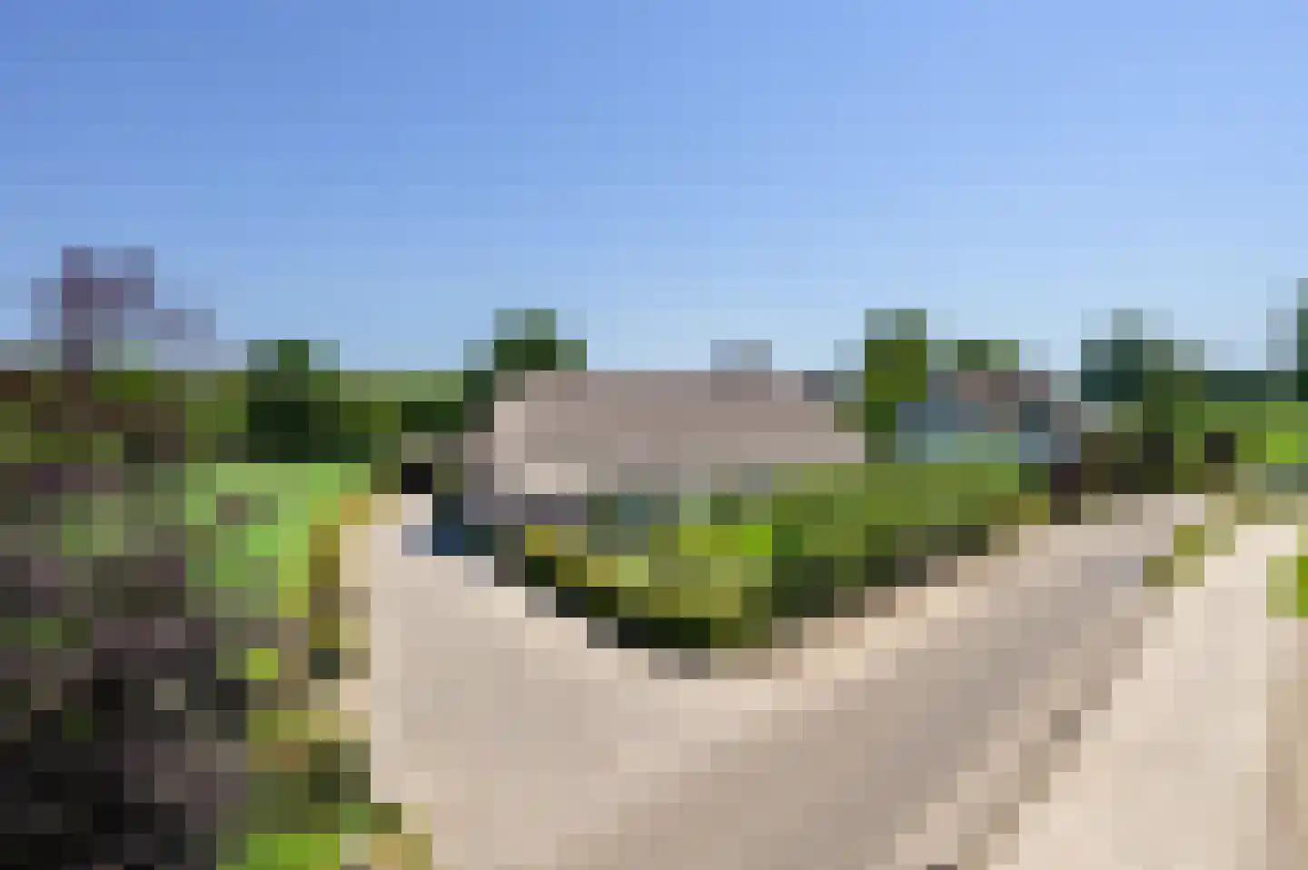 Bobbenagelseweg 24 Sint-Oedenrode thumbnail 51