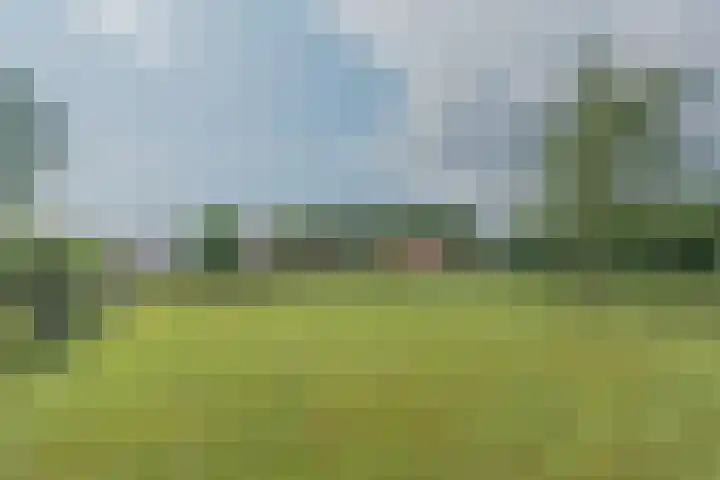 Bobbenagelseweg 4 Sint-Oedenrode thumbnail 16