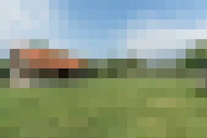 Bobbenagelseweg 4 Sint-Oedenrode thumbnail 68