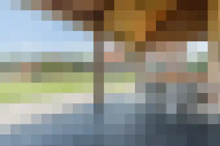 Bobbenagelseweg 4 Sint-Oedenrode thumbnail 69
