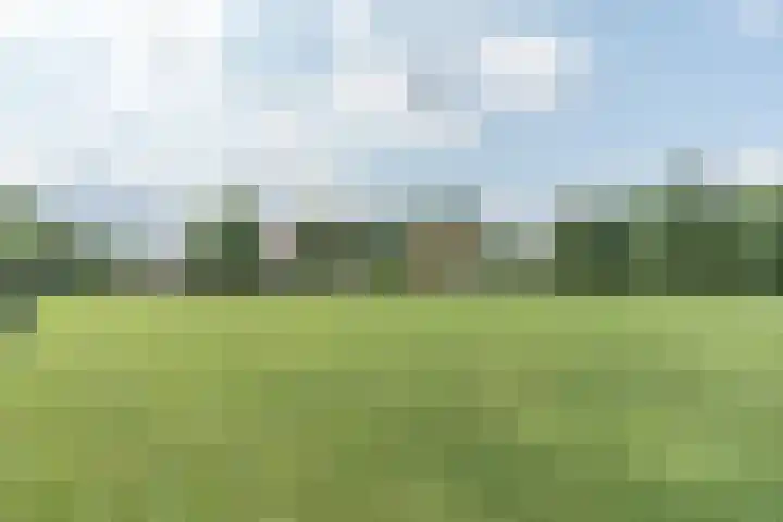 Bobbenagelseweg 4 Sint-Oedenrode thumbnail 73