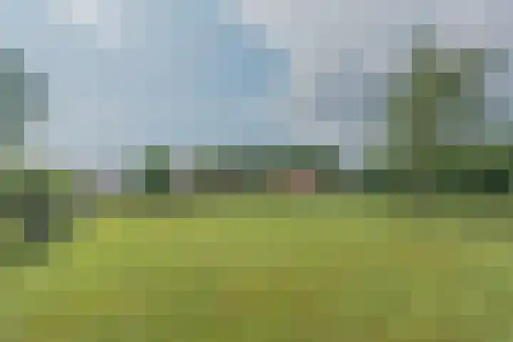 Bobbenagelseweg 4 Sint-Oedenrode thumbnail 74