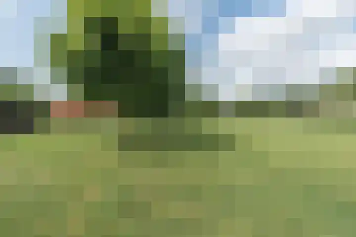 Bobbenagelseweg 4 Sint-Oedenrode thumbnail 75