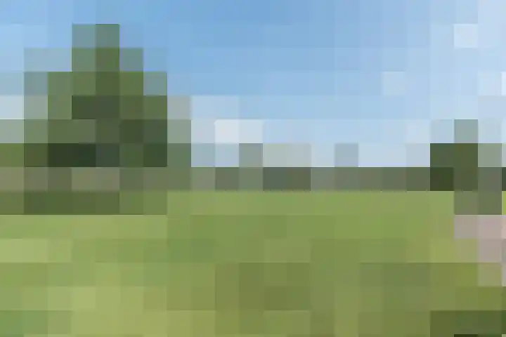 Bobbenagelseweg 4 Sint-Oedenrode thumbnail 76
