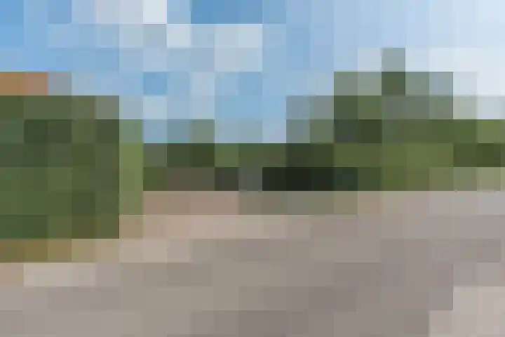 Bobbenagelseweg 4 Sint-Oedenrode thumbnail 99