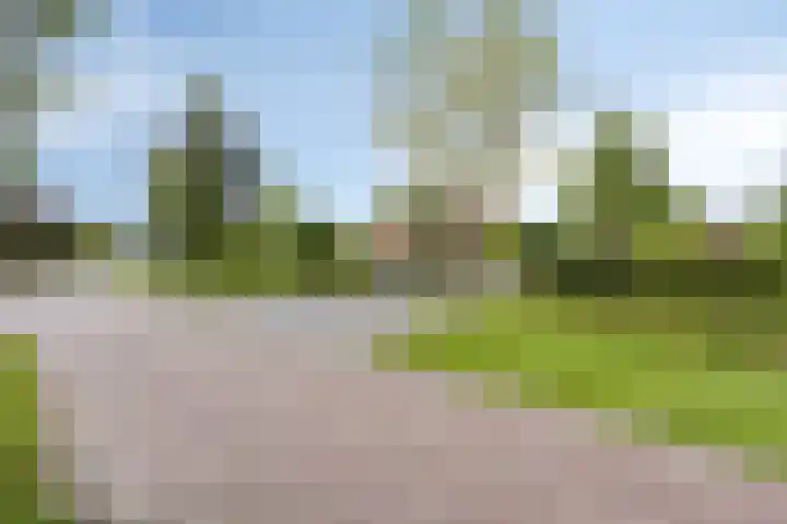 Bobbenagelseweg 7 Sint-Oedenrode thumbnail 101