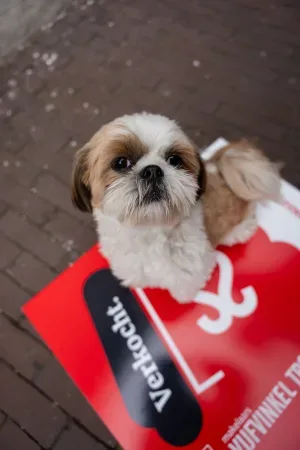 Foto van Bobbie Trossèl