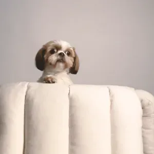 Foto van Bobbie Trossèl