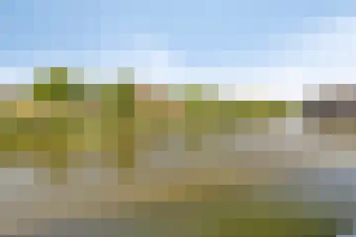 Bobbieplantsoen 10 Almere thumbnail 17