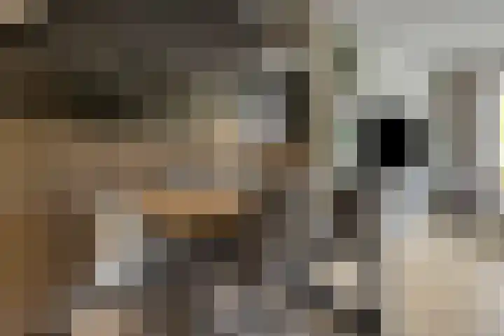 Bobbieplantsoen 10 Almere thumbnail 20