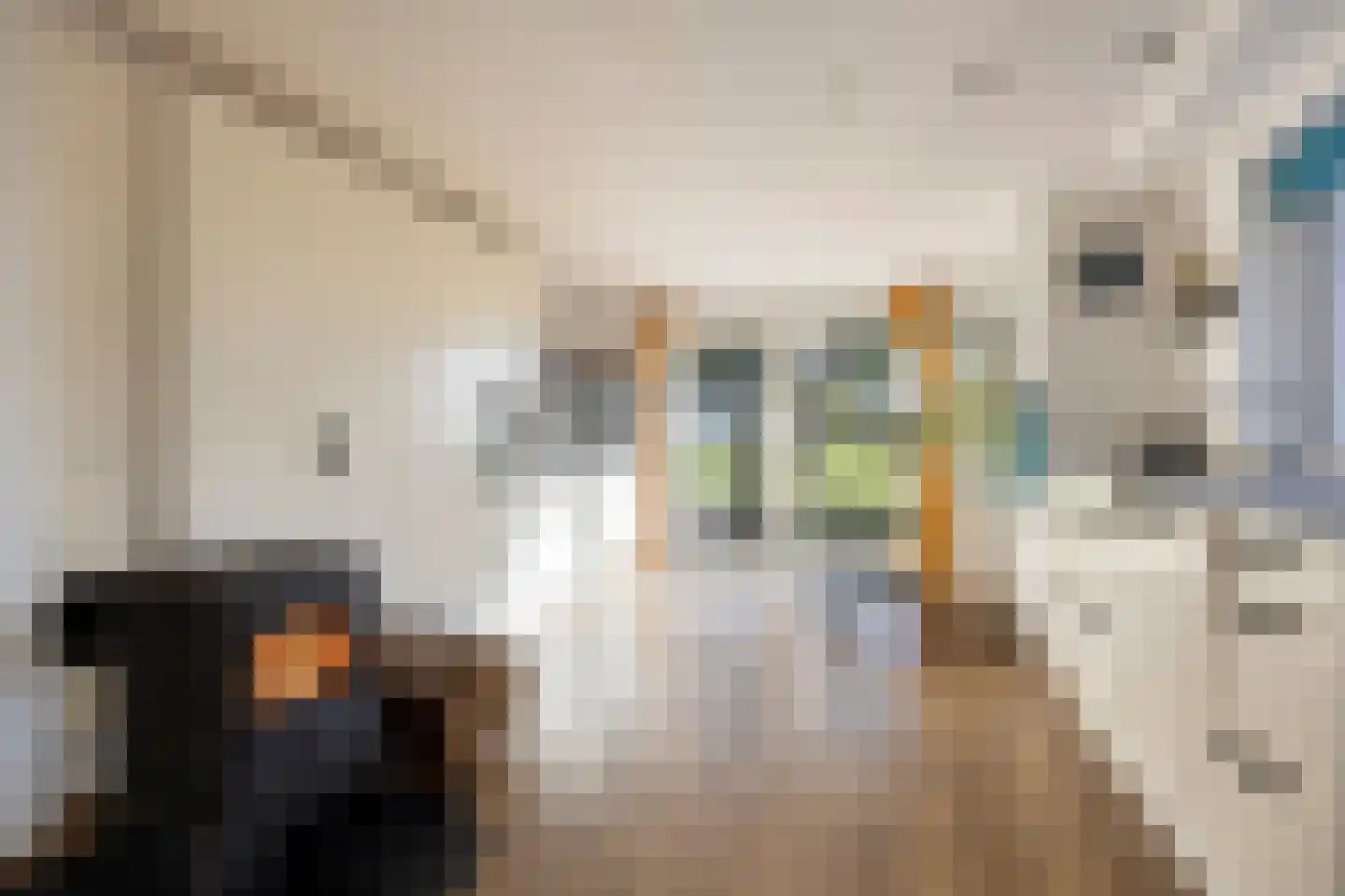 Bobeldijk 107 Berkhout thumbnail 24