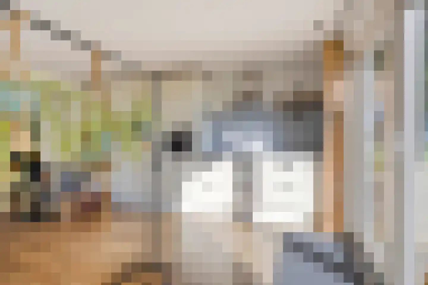 Bobeldijk 107 Berkhout thumbnail 25