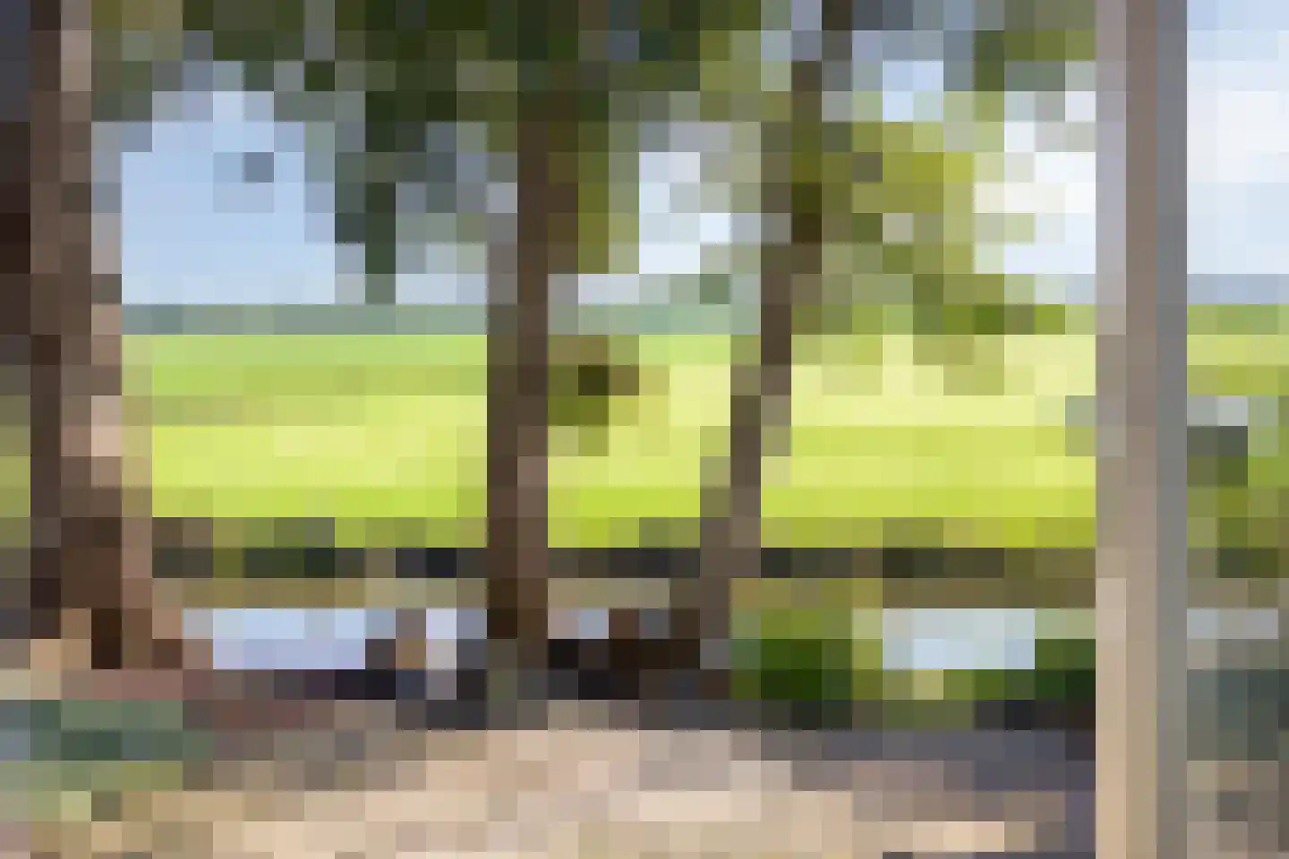 Bobeldijk 107 Berkhout thumbnail 29
