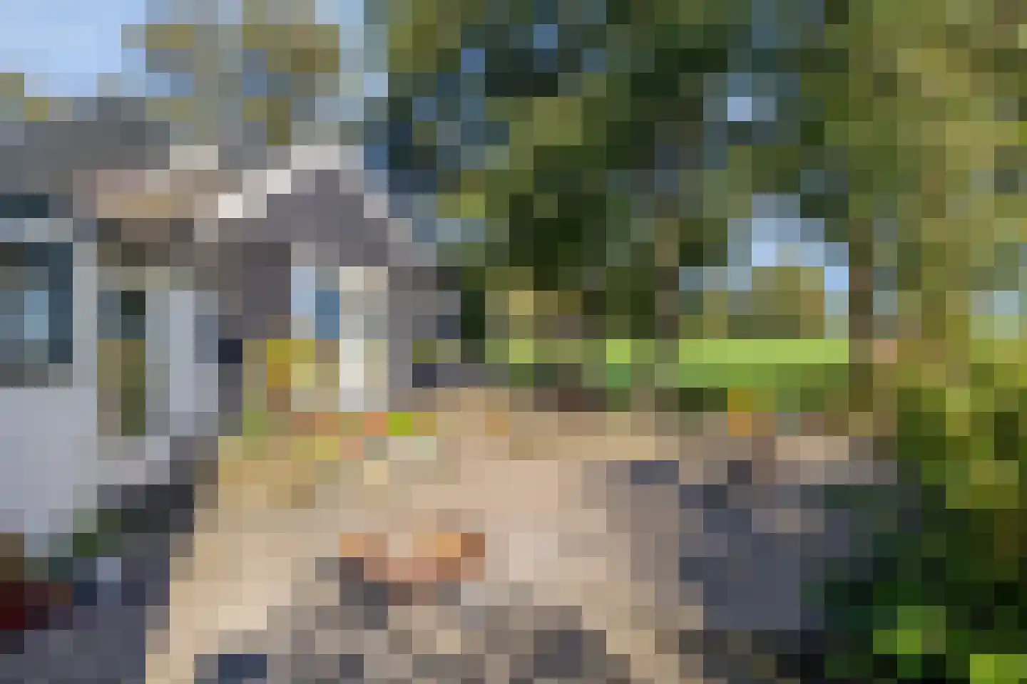 Bobeldijk 107 Berkhout thumbnail 31