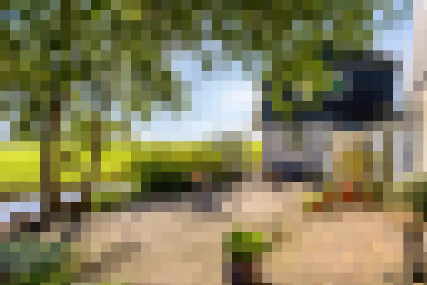 Bobeldijk 107 Berkhout thumbnail 32