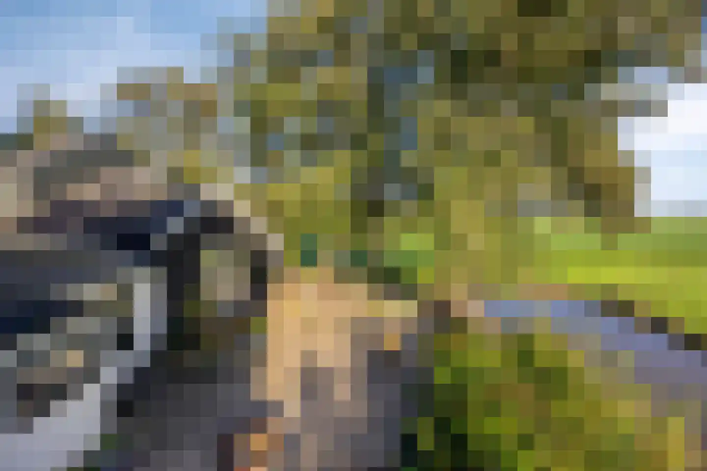 Bobeldijk 107 Berkhout thumbnail 33