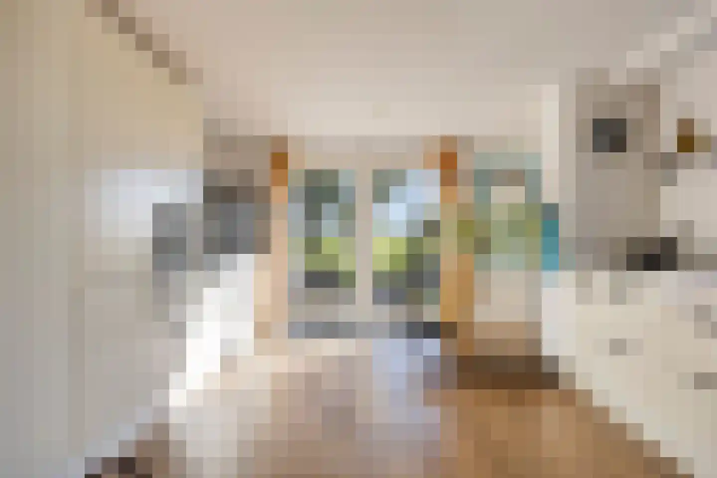 Bobeldijk 107 Berkhout thumbnail 4