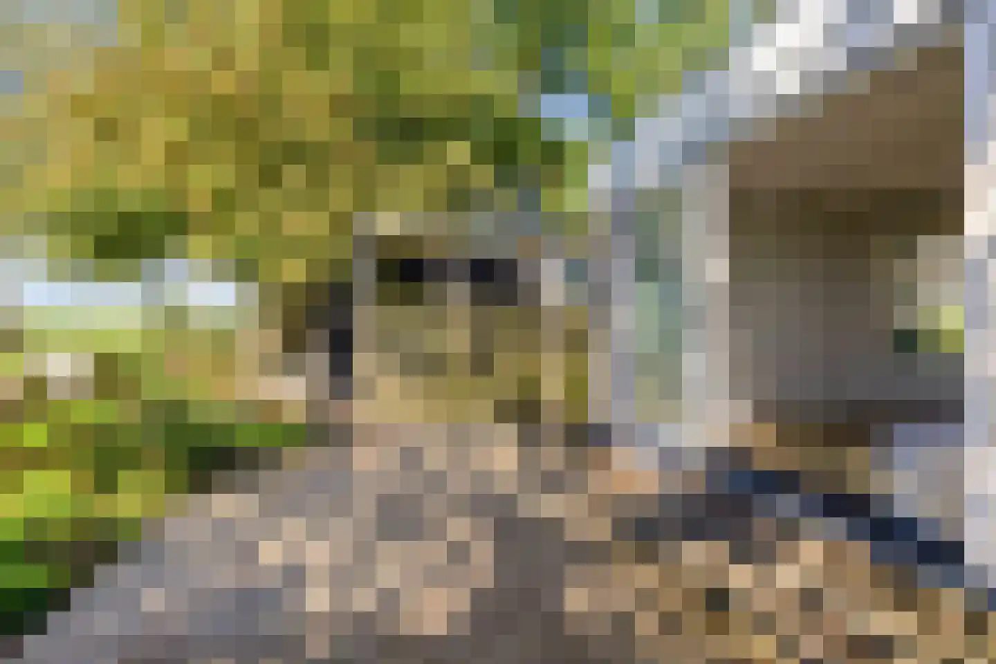 Bobeldijk 107 Berkhout thumbnail 55