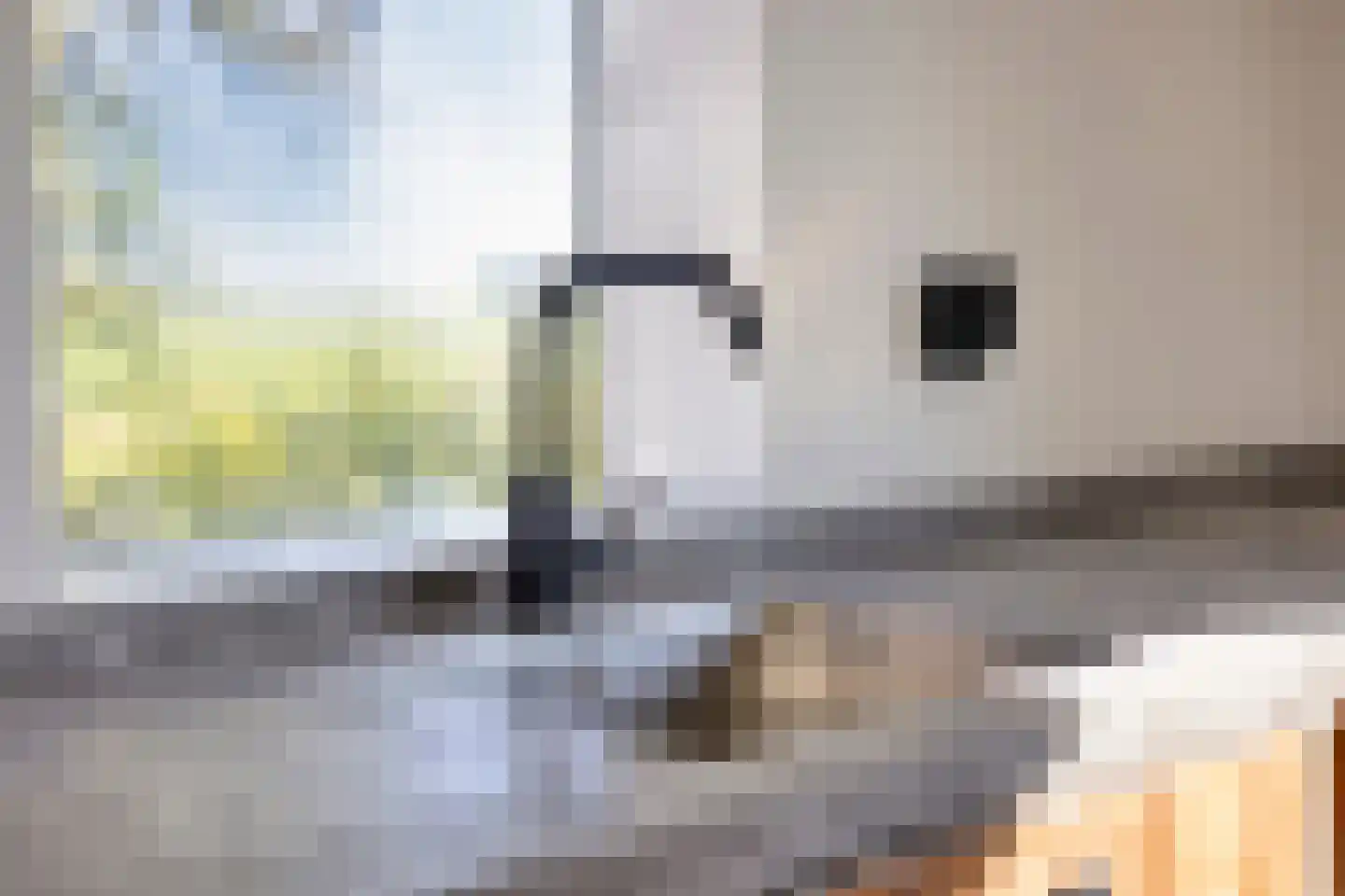 Bobeldijk 107 Berkhout thumbnail 61