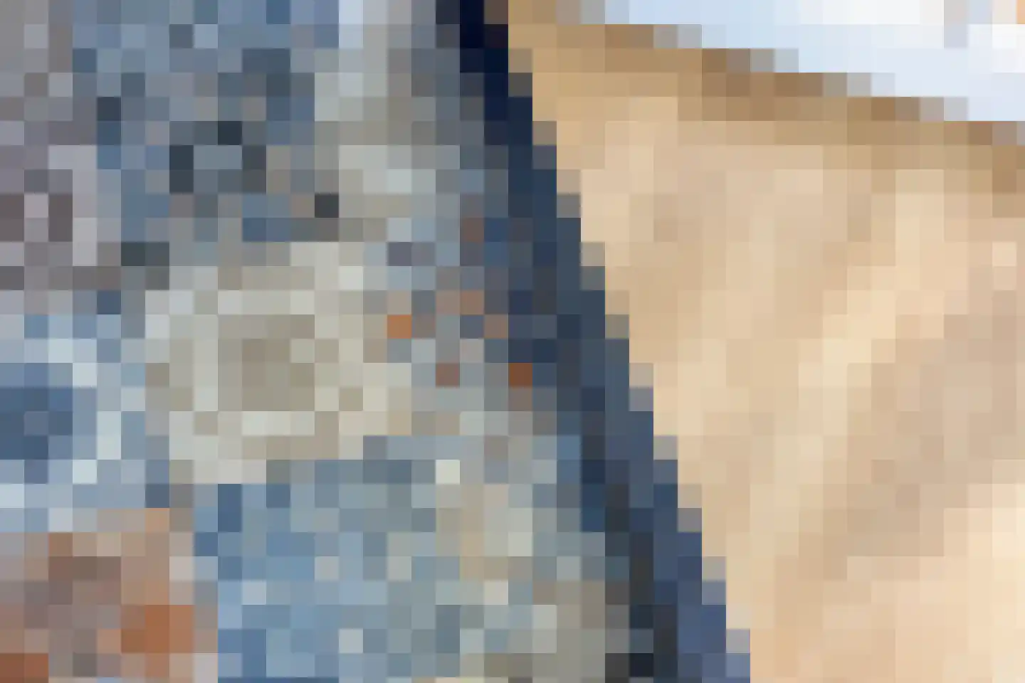 Bobeldijk 107 Berkhout thumbnail 64
