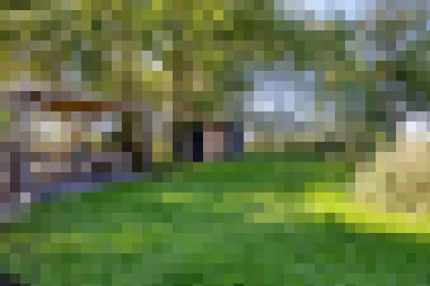 Bobeldijk 107 Berkhout thumbnail 77
