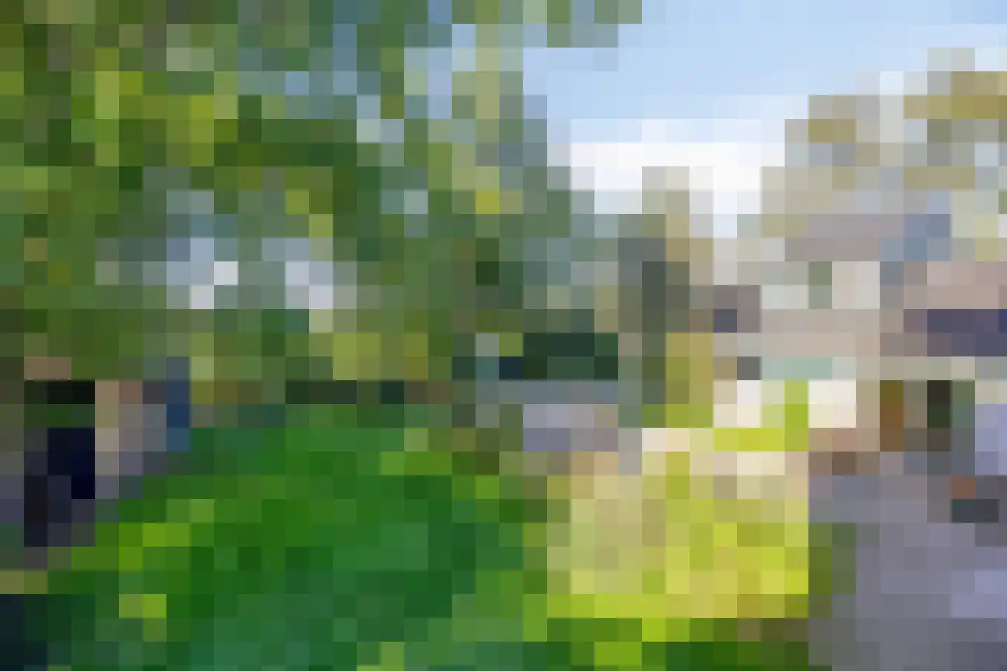 Bobeldijk 107 Berkhout thumbnail 84